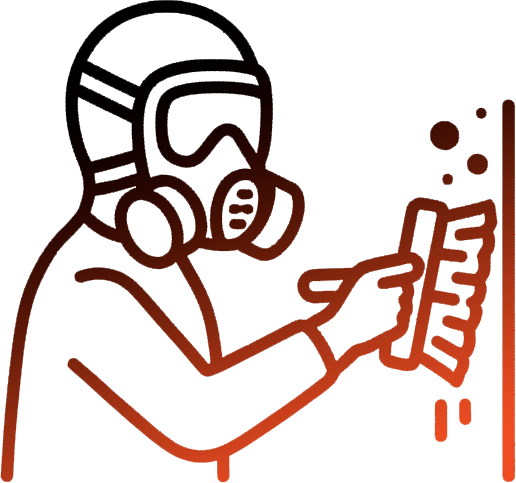 Mold from Water Damage