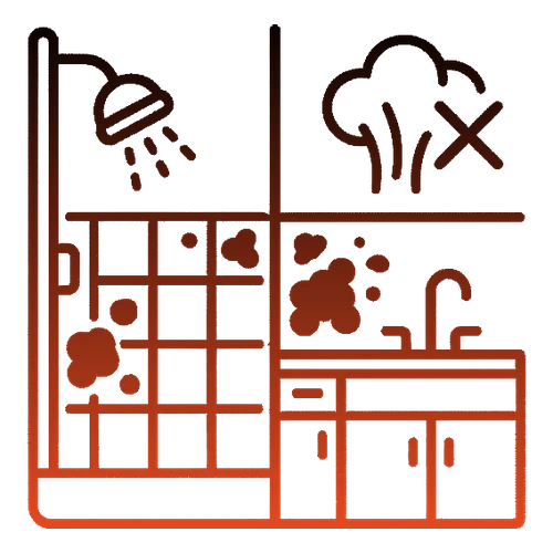 Bathroom & Kitchen Mold