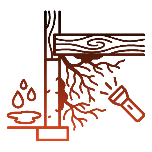 Hidden Mold Behind Walls