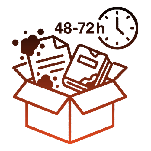 Post-Water-Damage Mold