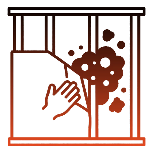 Crawl Space & Basement Mold